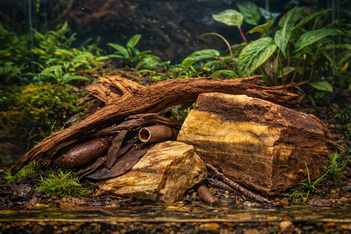 Red wood rock terrarium - rock,