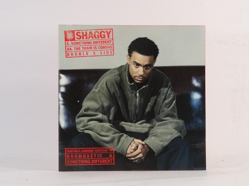 Shaggy something different - shaggy,