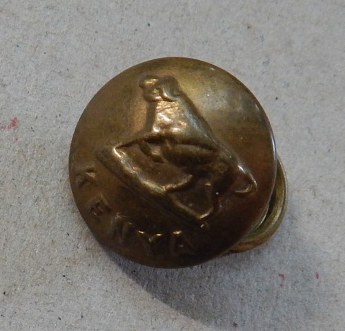 Kenya regiment button - button, e