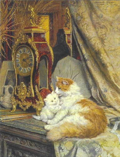 New cats kittens - cats, postcard