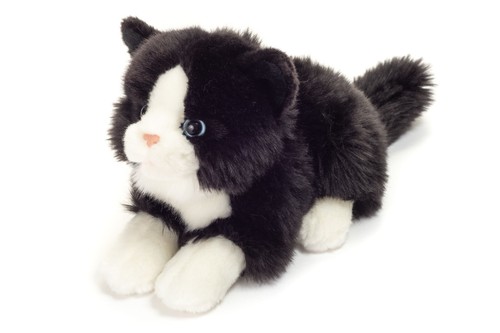 Teddy hermann cat lying down - teddy,