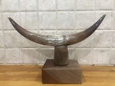 Cow Bull Horns Vintage Mounted On Hardwood Teak Plinth