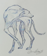 Original Dogs Small Hand Drawn