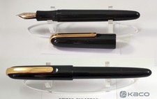 Kaco Master 14k  black resin