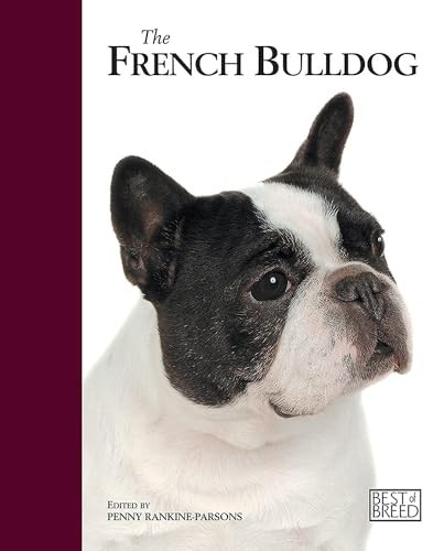 French bulldog best of - bulldog,