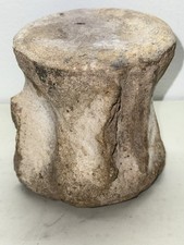 Fossilized Whale Vertebrae 3