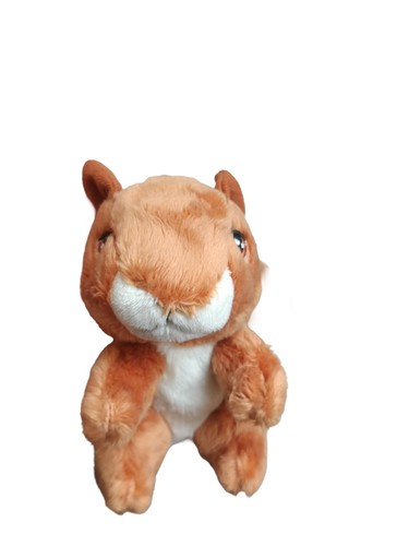 Keel keeleco grey squirrel - keeleco,