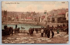 St Ives Cornwall Landing Fish