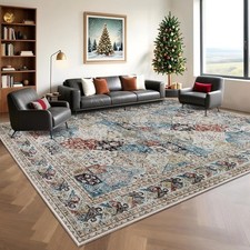 Area Rug for Living Room