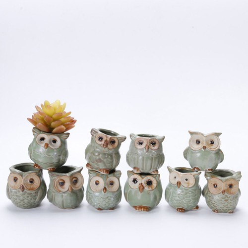 5pcs ceramic mini succulent - 5pcs,