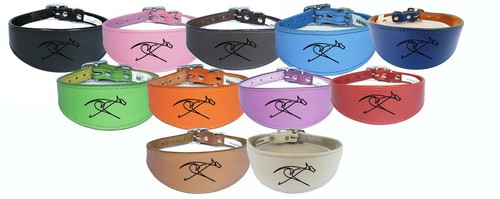 Italian greyhound whippet - italian,