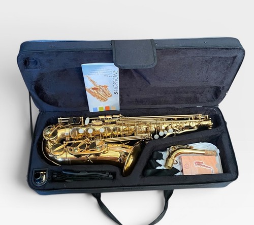 Alto saxophone outfit - alto,