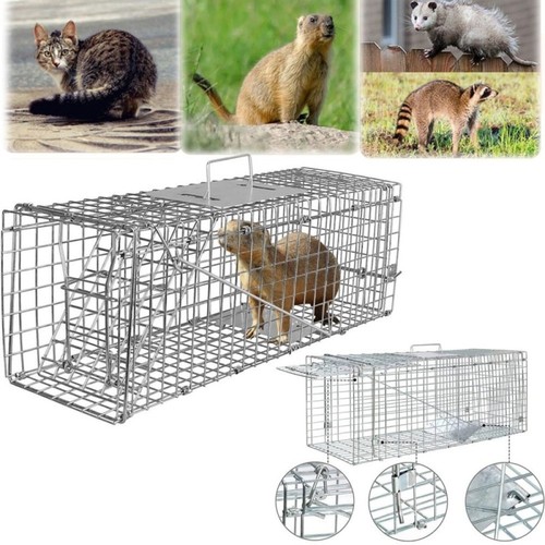Rat trap squirrel - heavy, duty