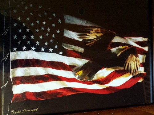 Bald eagle american flag art - eagle,