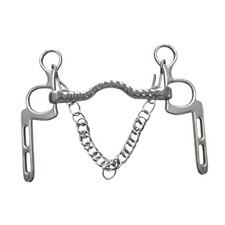 Horse Bit Stallion Training