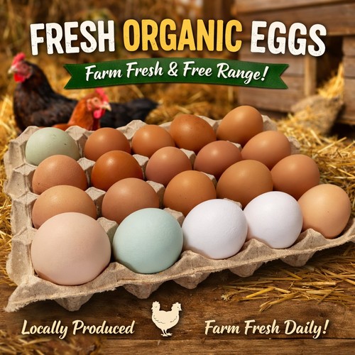 Bulk buy fresh - buy,