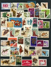 Romania: Packet of 50 G-FU