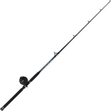 RT Combo Tech Boat Rod 5'5