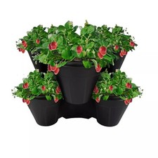 Strawberry planter trio - strawberry,