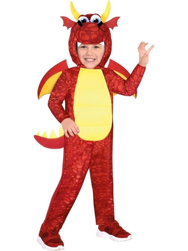 Dragon kids costume - kids,