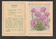 Kensitas WIX tobacco Medium