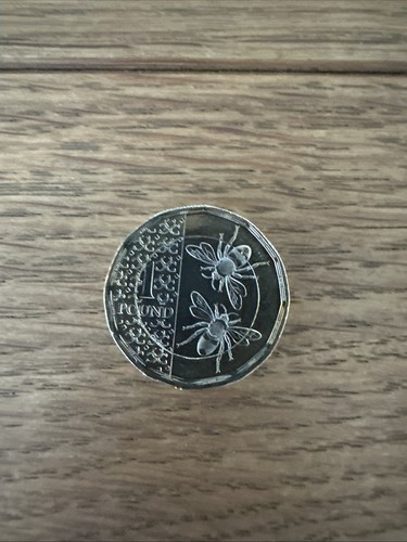 2025 king charles - 2025, type