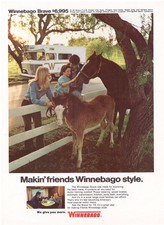 1973 Winnebago BRAVE Motor