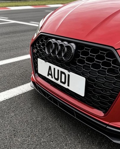 13mm audi grille number - 13mm, rs