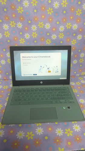 Chromebook - hp,