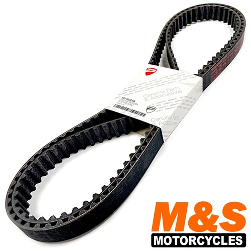 Ducati timing belts - ducati, for