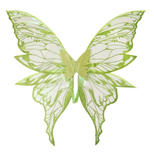 Magical adults fairy - adults, wings