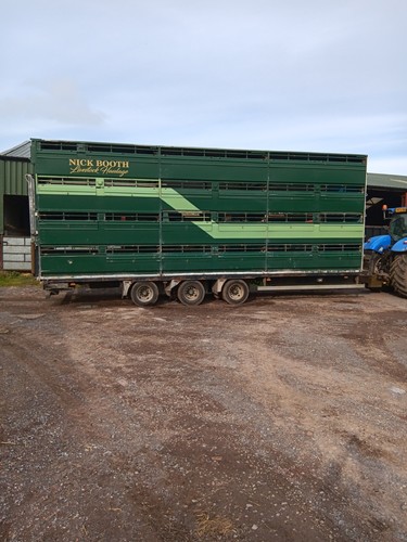 Livestock trailers used - livestock,
