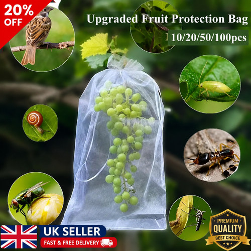 100x fruit protection bags - fruit,