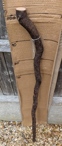Blackthorn walking stick shank - stick,