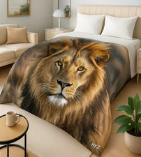 Super Soft Blanket 2 Ply Heavy