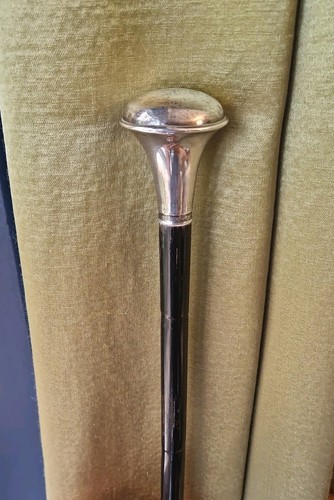 Antique walking stick - walking,