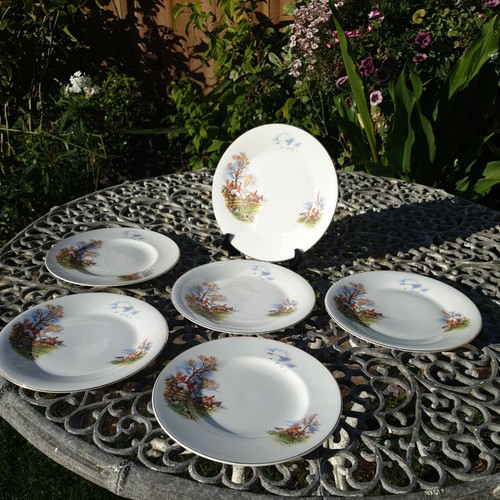 Gray english bone china - 6,
