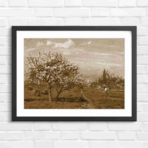 Blooming orchard trees spring - blooming,