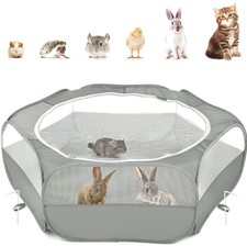 Small animals outdoor - animals,