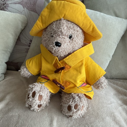 Paddington bear soft toy - bear,