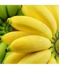 Banana Tropical Seeds