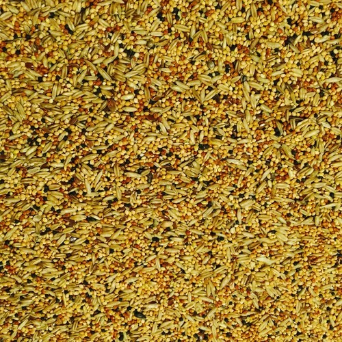 Bucktons budgie tonic - bucktons,