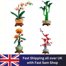 Icons Plum Blossom Building