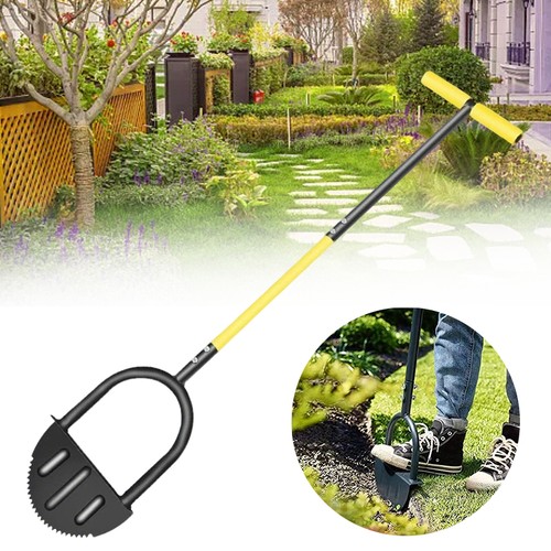 Garden lawn border - garden,