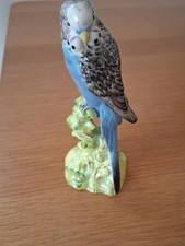 Beswick budgie budgerigar - beswick,