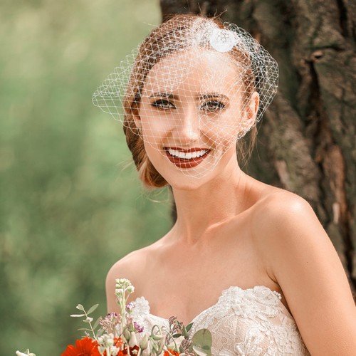 Birdcage veil wedding bride - veil,