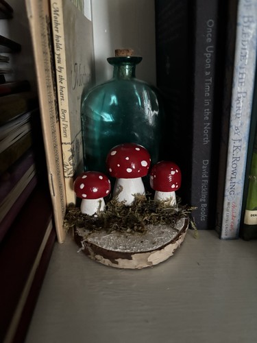 Magical whimsical toadstool - whimsical,