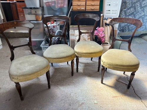Antique balloon dining chairs - antique,