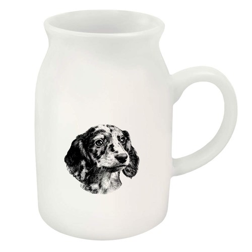 Dachshund puppy portrait - puppy, portrait'