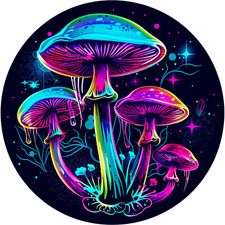Wall decal sticker neon